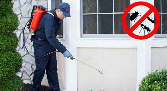 Çakmaklı Haşere İlaçlama böcek ilaçlama ve haşere kontrolü — ilaclama-tr.com